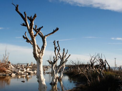 Soledad – Epecuén, Provincia de Buenos Aires